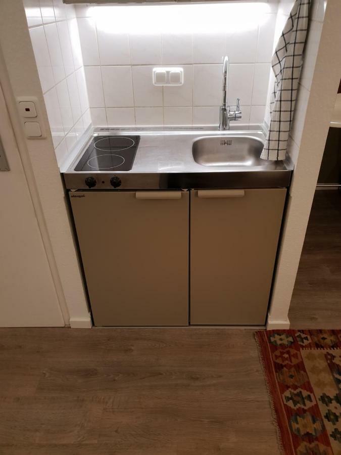 Studio Apartment In Zentraler Lage Mainz Exterior foto